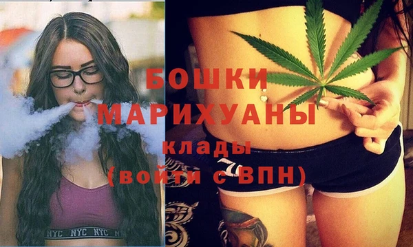 не бодяженный Ладушкин