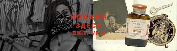 не бодяженный Ладушкин