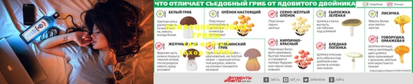 не бодяженный Ладушкин