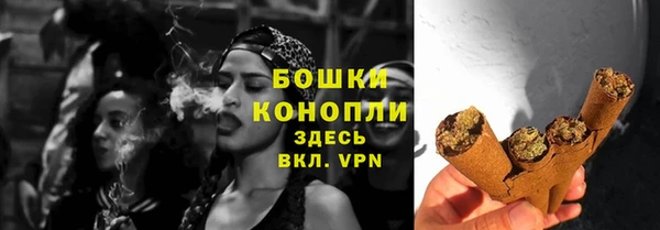не бодяженный Ладушкин