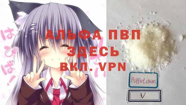 не бодяженный Ладушкин