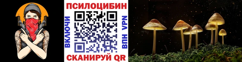 Псилоцибиновые грибы GOLDEN TEACHER купить закладку кракен tor Заозёрск